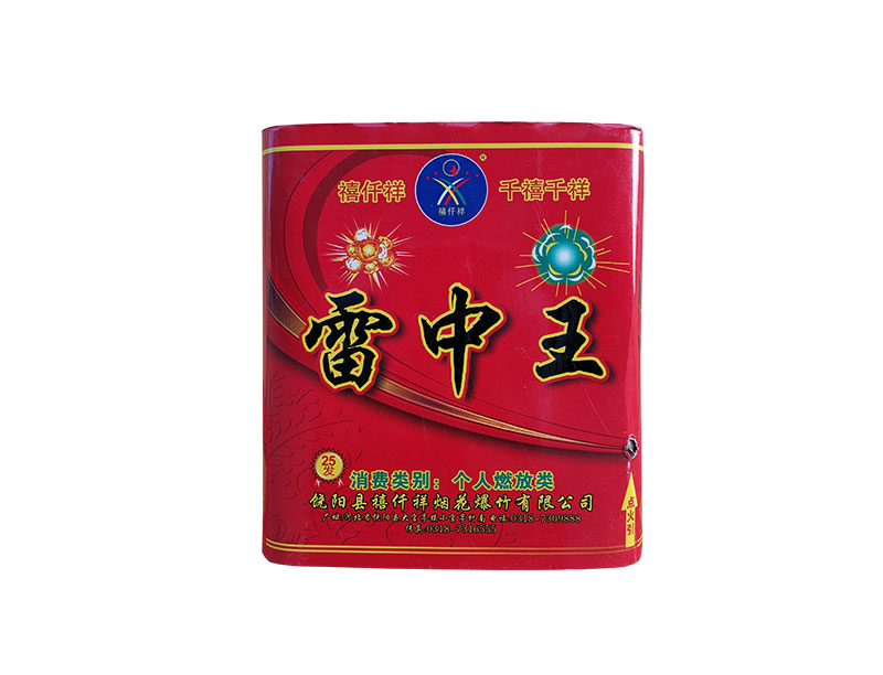 雷中王