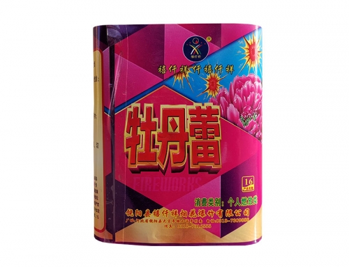 牡丹蕾